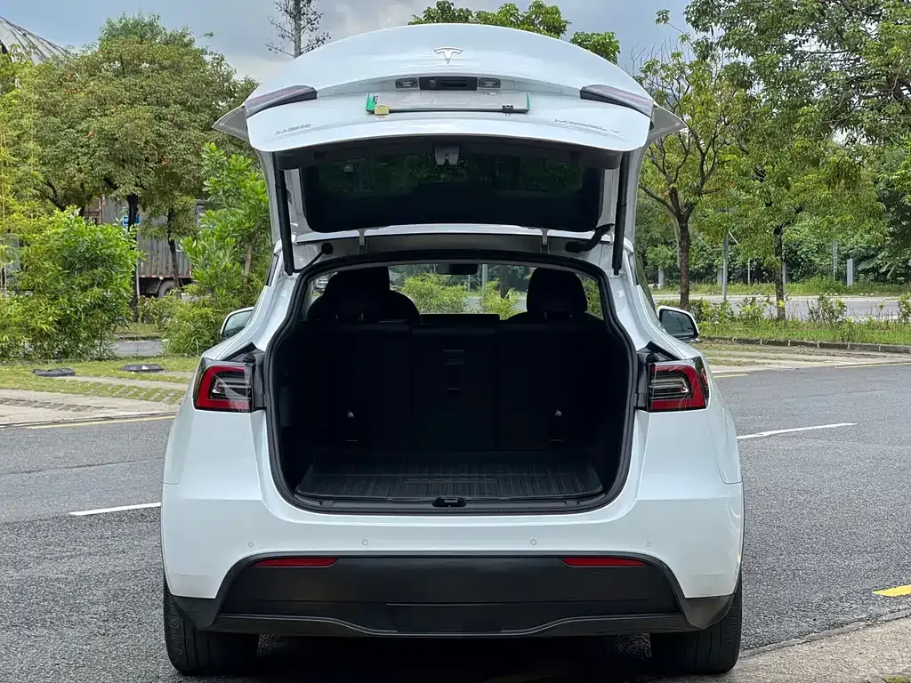 Tesla Model Y — фото 6