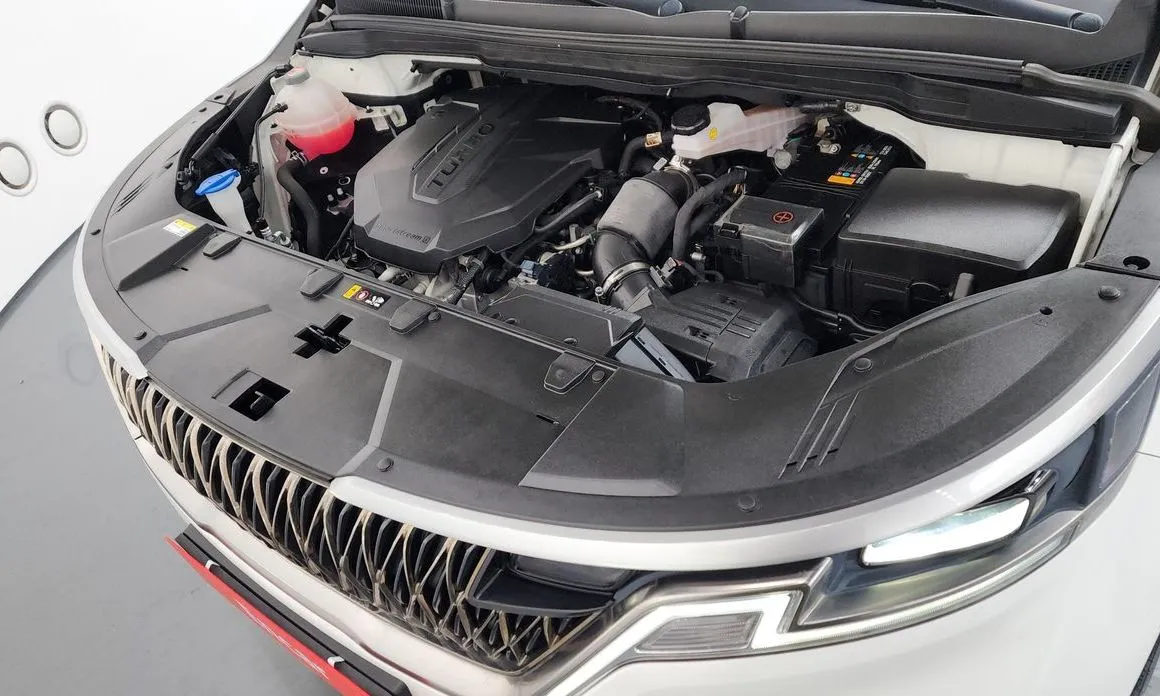 Kia Carnival — фото 10