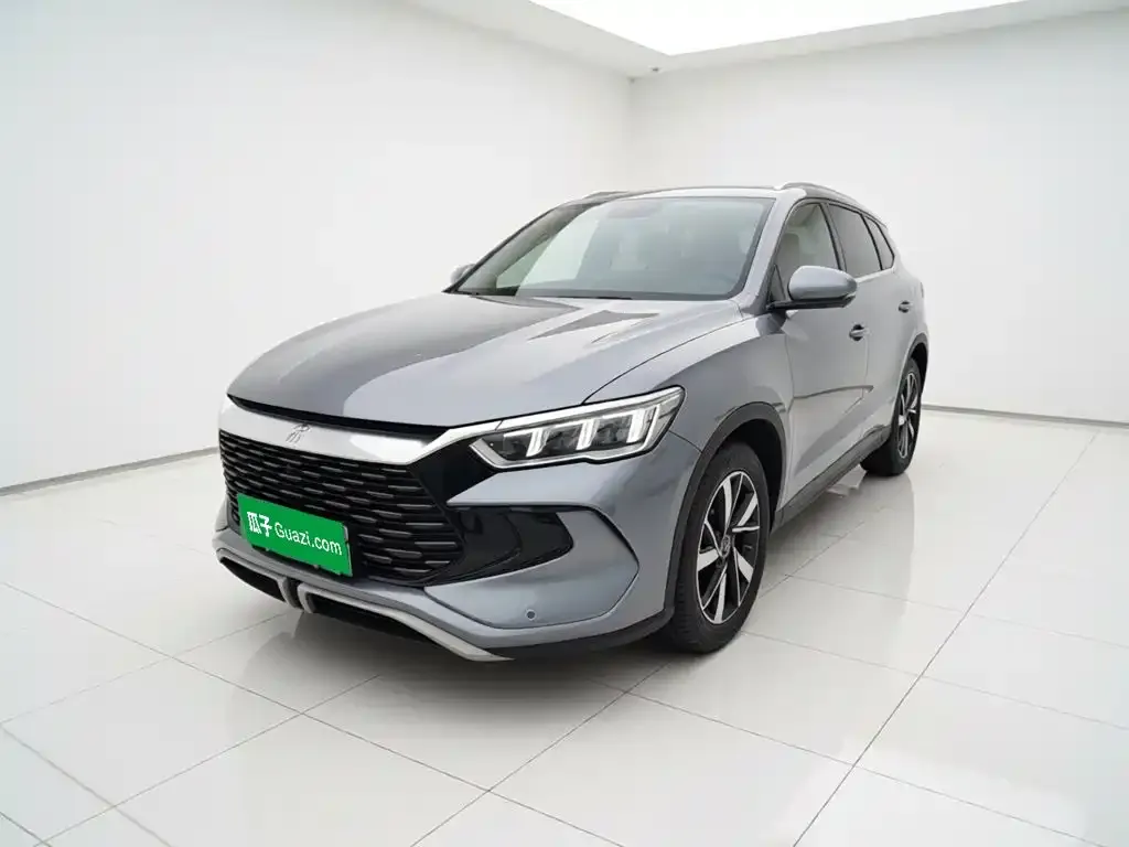 BYD Pro New Energy — фото 1