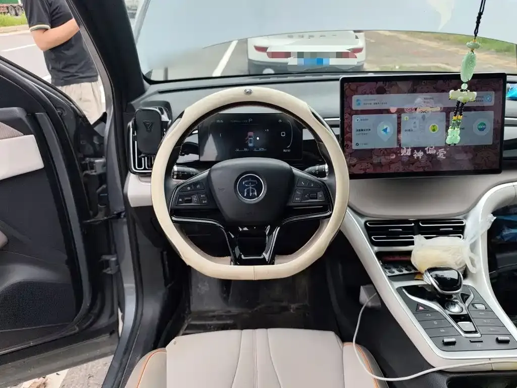 BYD Pro New Energy — фото 7
