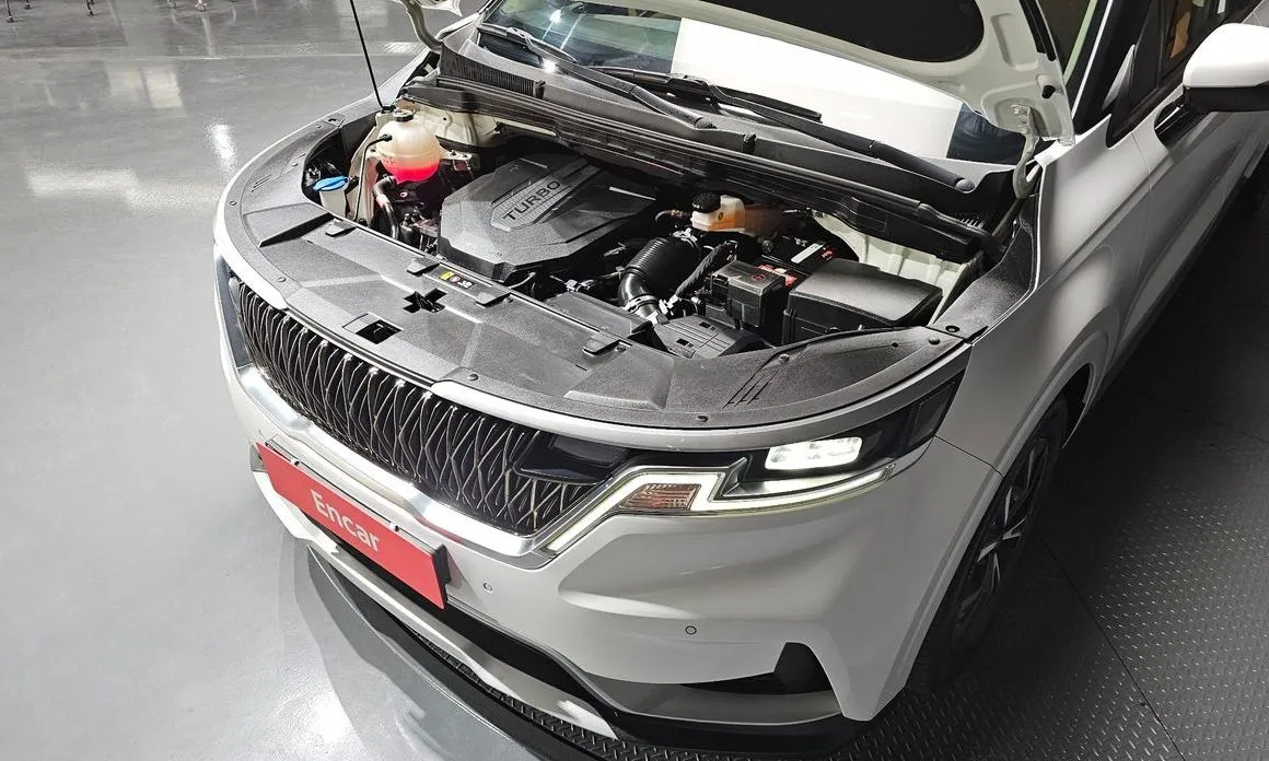 Kia Carnival — фото 10