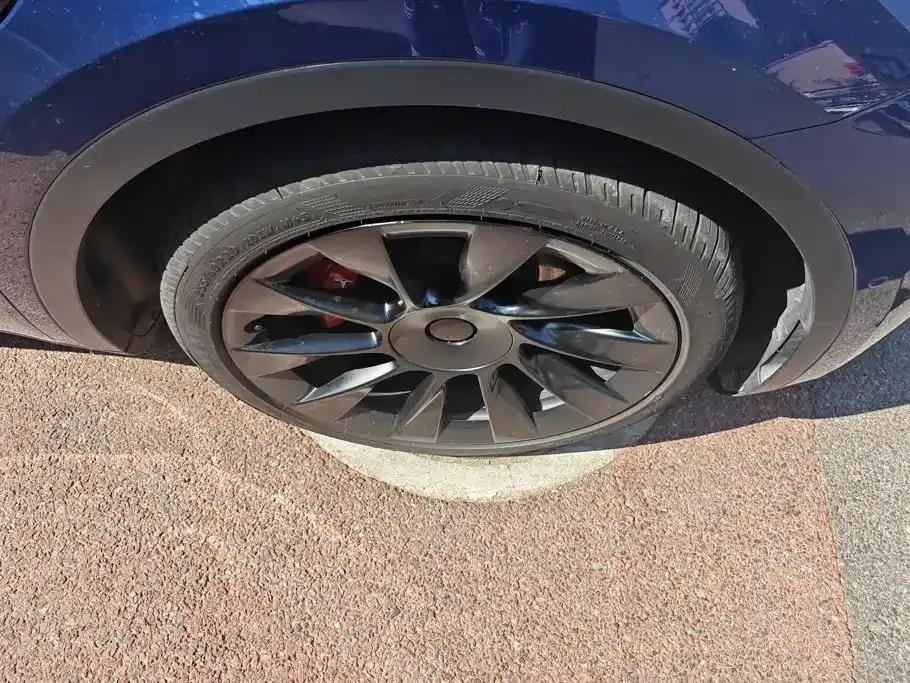 Tesla Model Y — фото 8