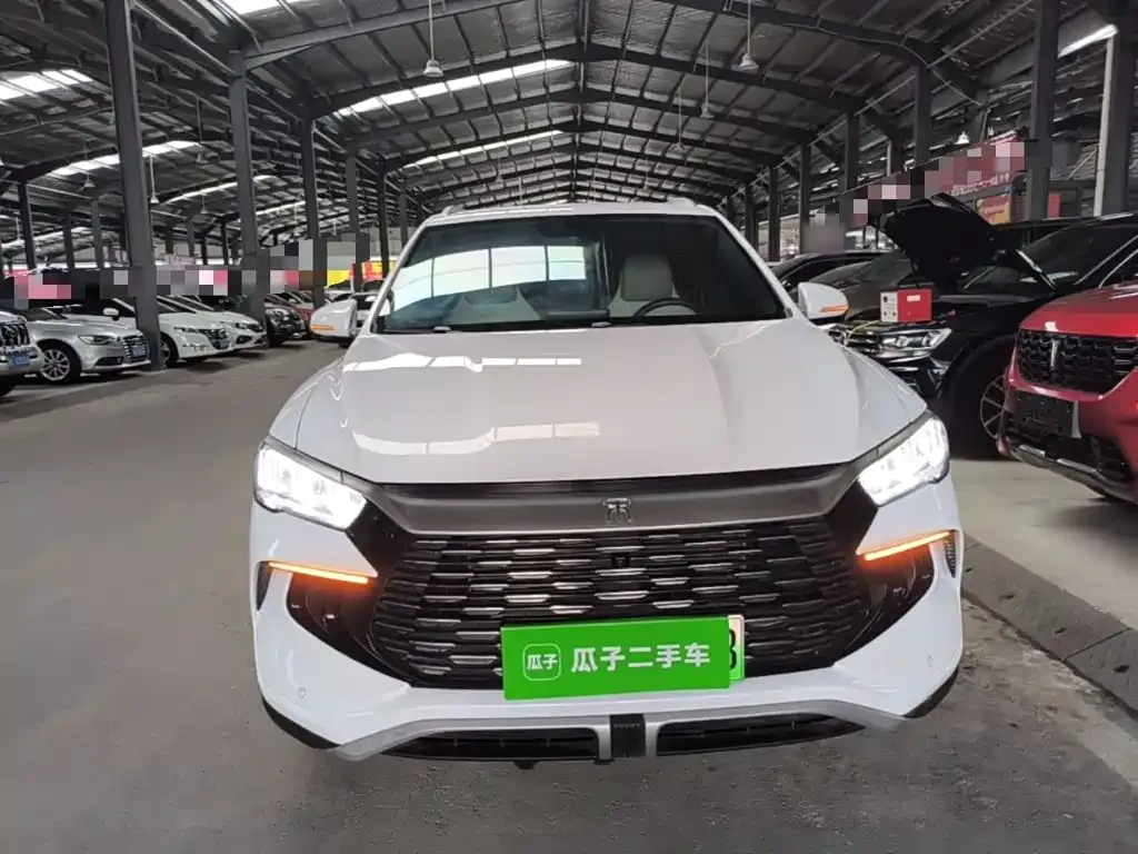 BYD Pro New Energy — фото 2