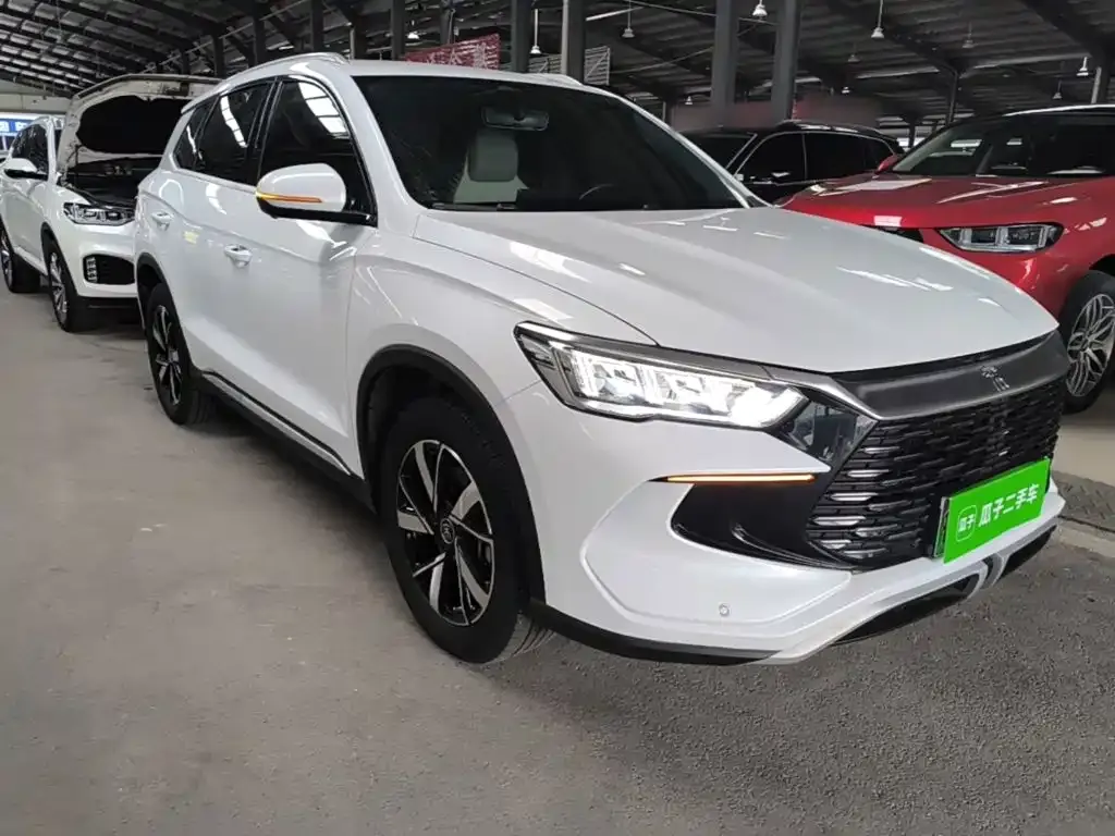 BYD Pro New Energy — фото 10