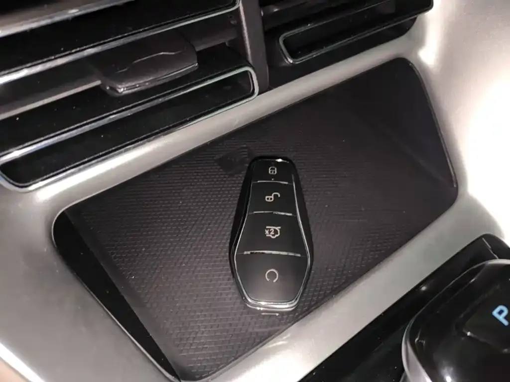 BYD Pro New Energy — фото 4
