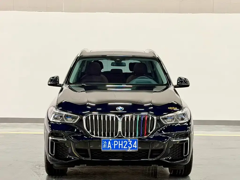 BMW X5 — фото 10