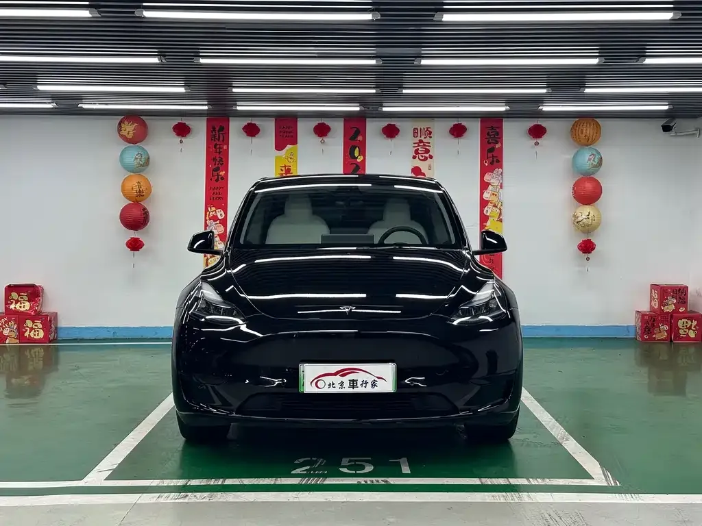 Tesla Model Y — фото 2