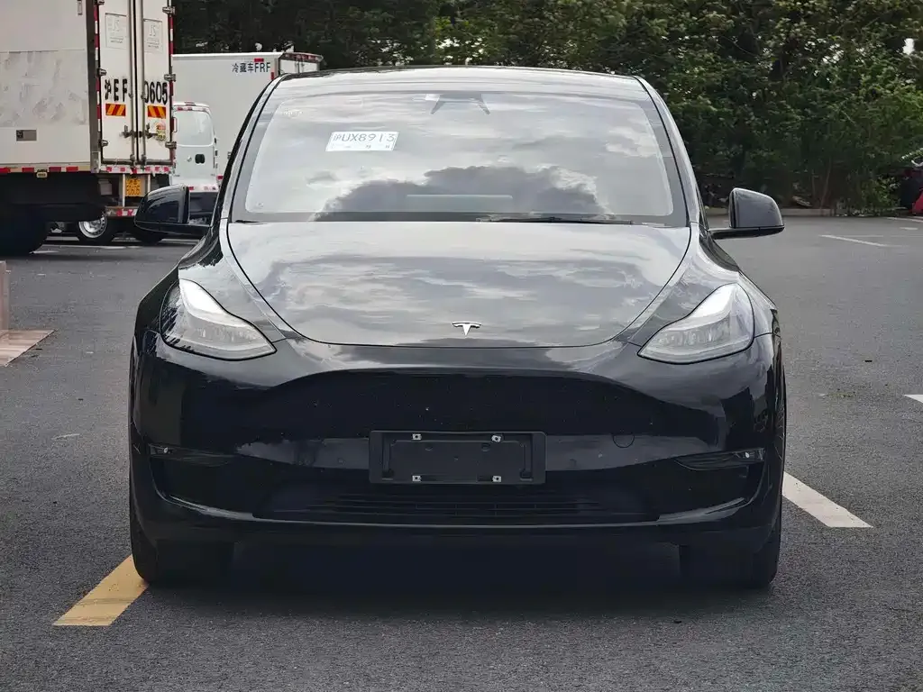 Tesla Model Y — фото 5