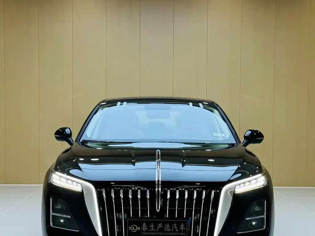 Hongqi H5 — фото 3