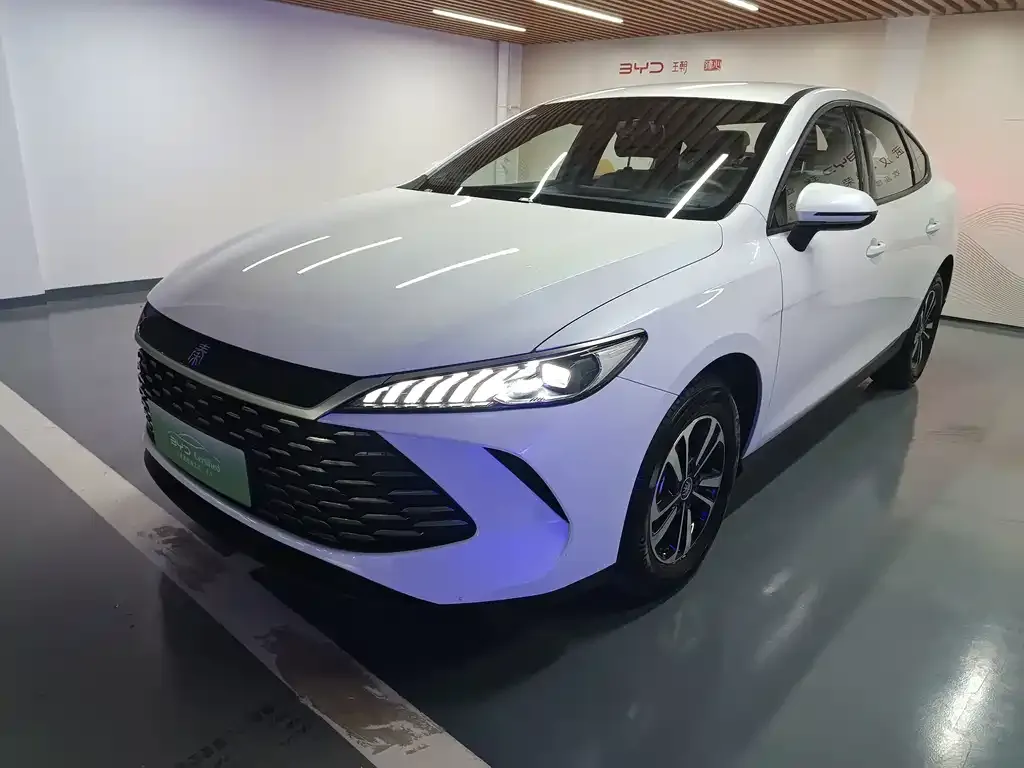 BYD Qin PLUS — фото 1