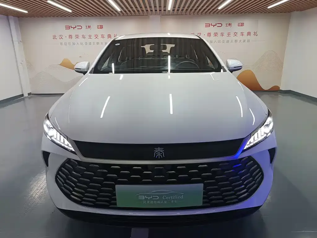 BYD Qin PLUS — фото 4