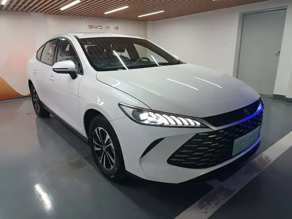BYD Qin PLUS — фото 3