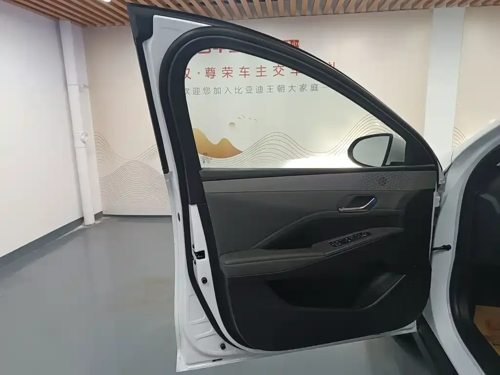 BYD Qin PLUS — фото 10