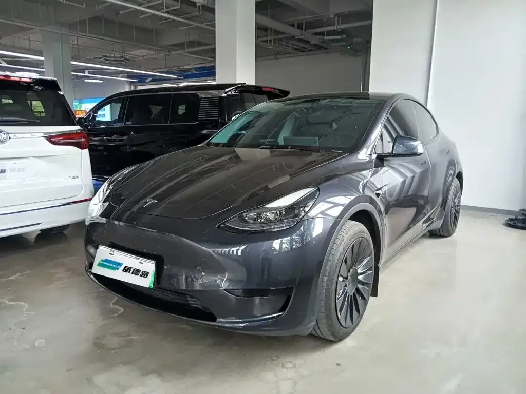 Tesla Model Y — фото 1