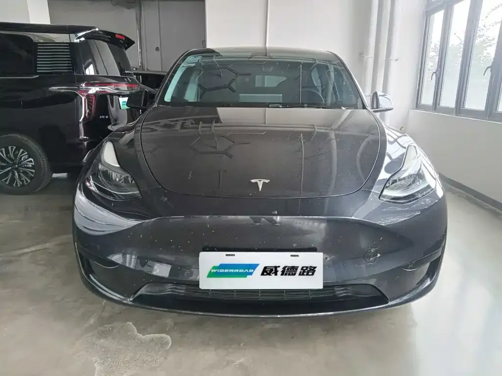Tesla Model Y — фото 8