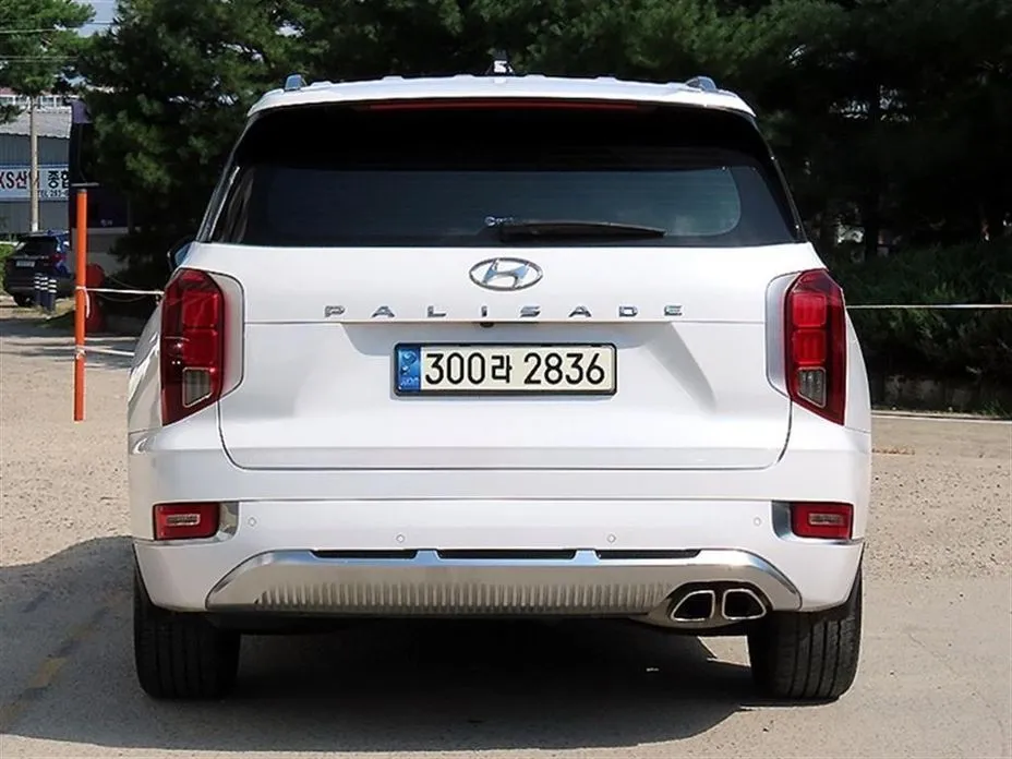 Hyundai Palisade — фото 10
