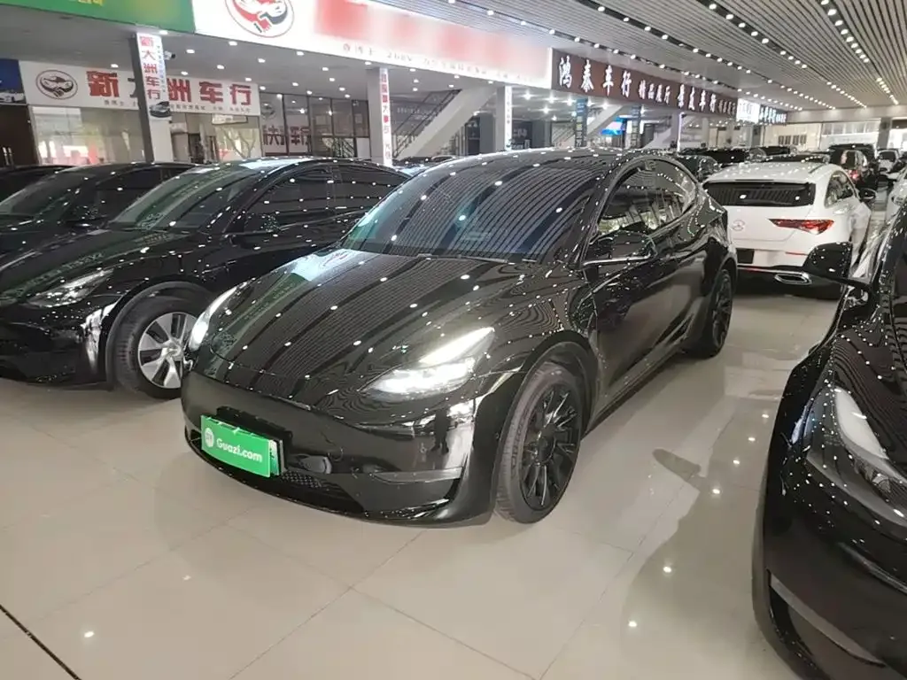 Tesla Model Y — фото 1