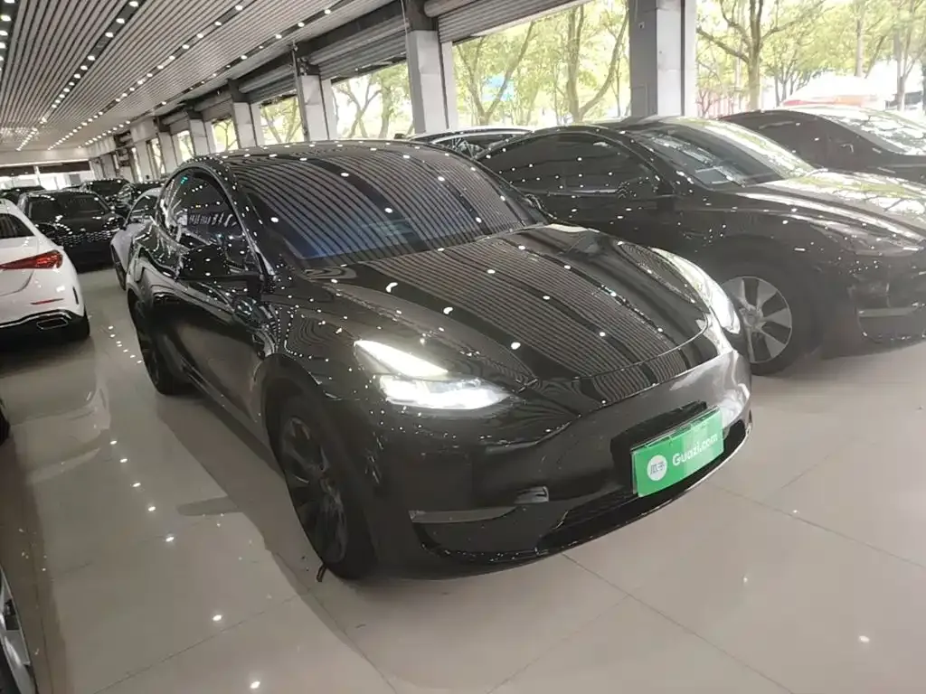 Tesla Model Y — фото 9