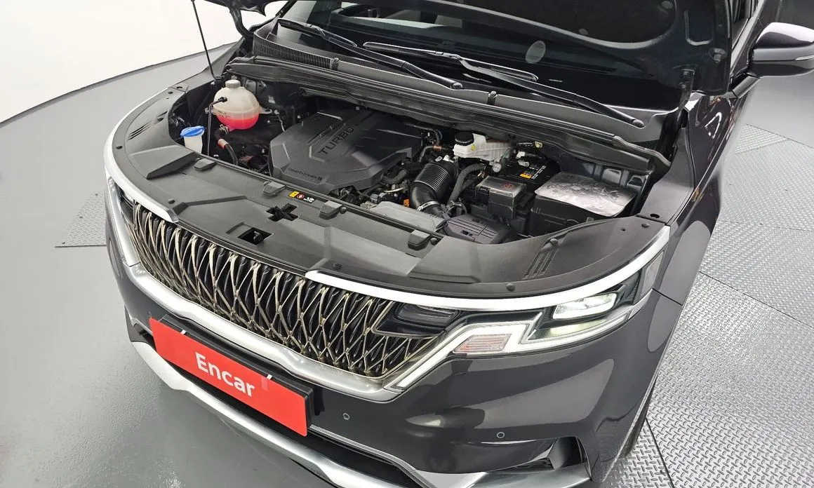 Kia Carnival — фото 10