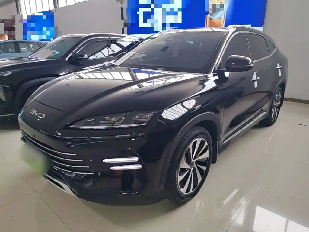 BYD PLUS New Energy — фото 8