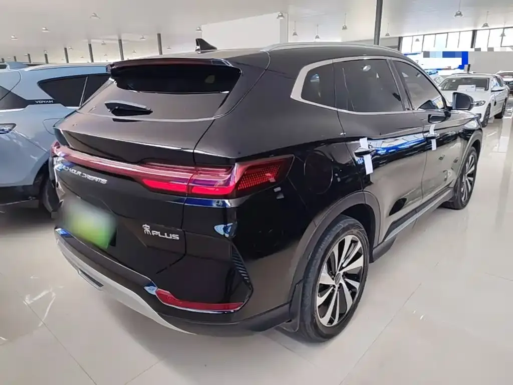 BYD PLUS New Energy — фото 10