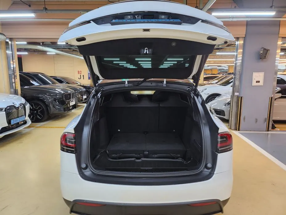 Tesla Model X — фото 10