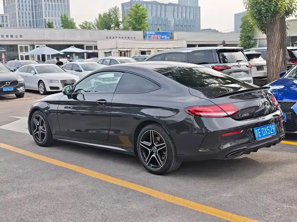 Mercedes-Benz C-Class (Import) — фото 6