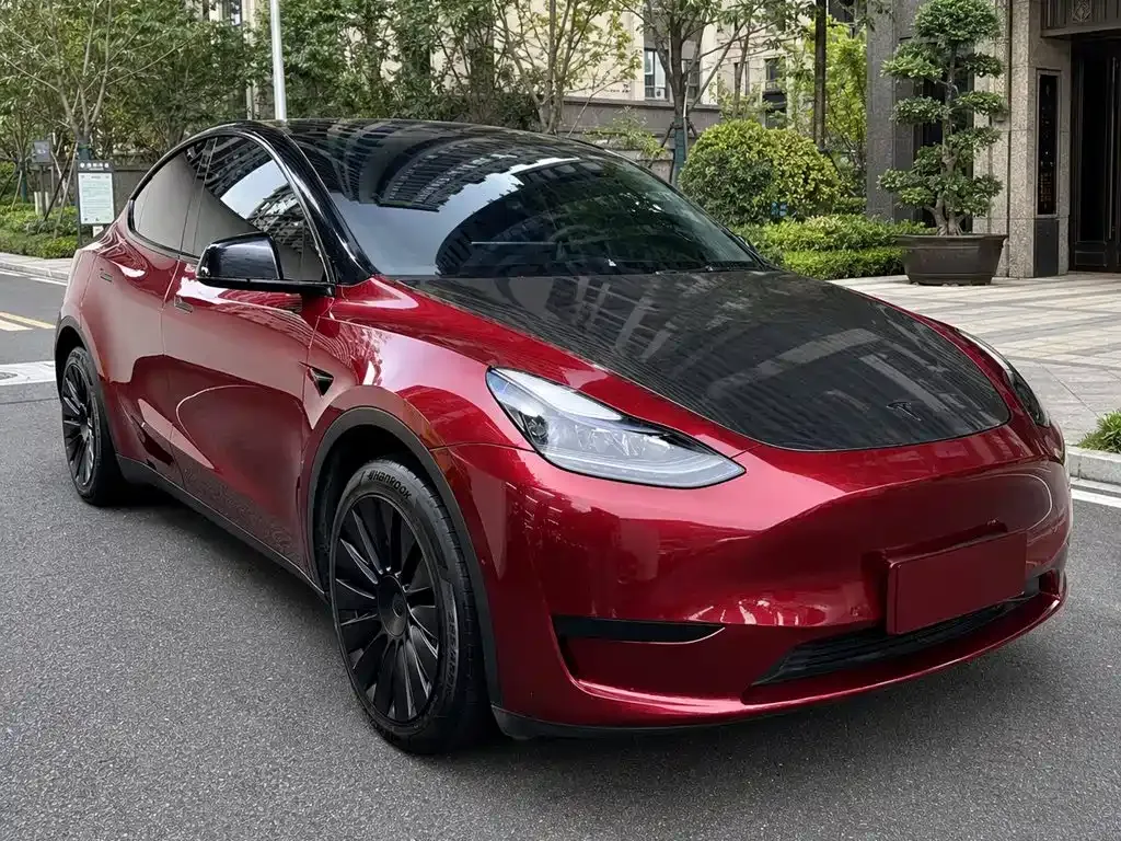 Tesla Model Y — фото 10