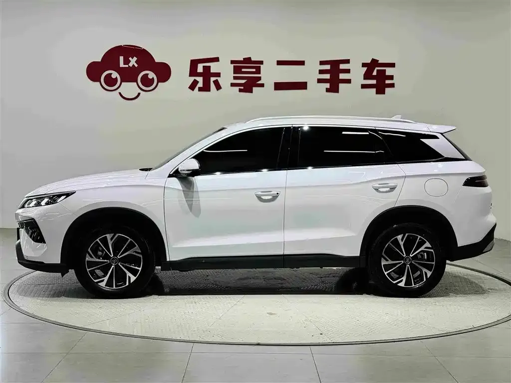 BYD Pro New Energy — фото 6