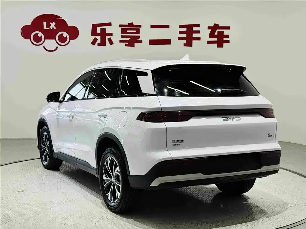 BYD Pro New Energy — фото 8