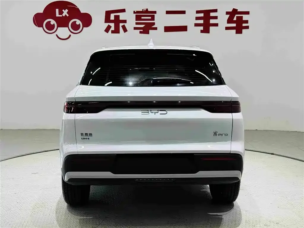 BYD Pro New Energy — фото 10