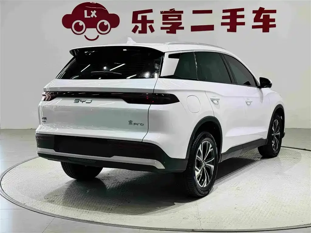 BYD Pro New Energy — фото 9