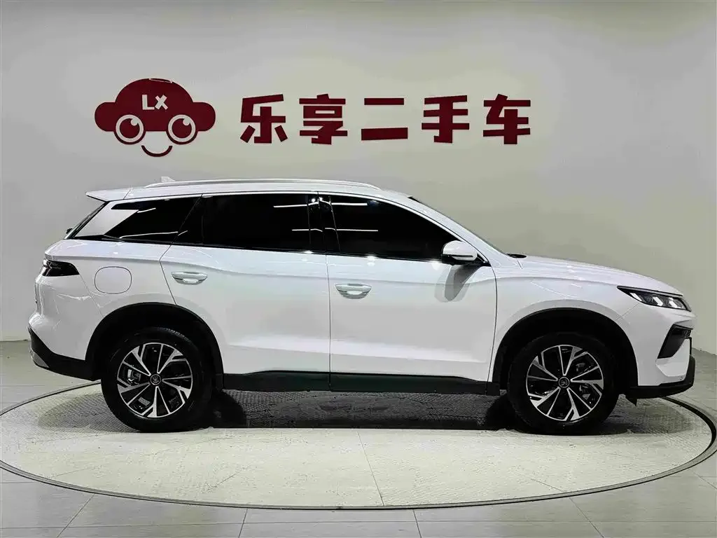 BYD Pro New Energy — фото 7