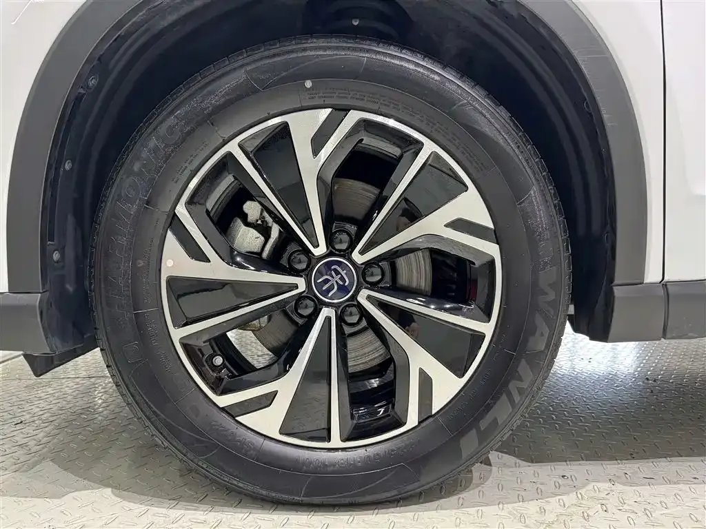 BYD Pro New Energy — фото 4