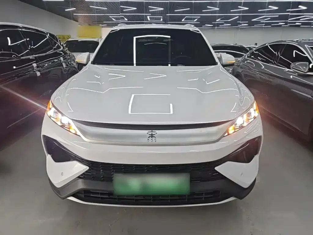BYD Pro New Energy — фото 10
