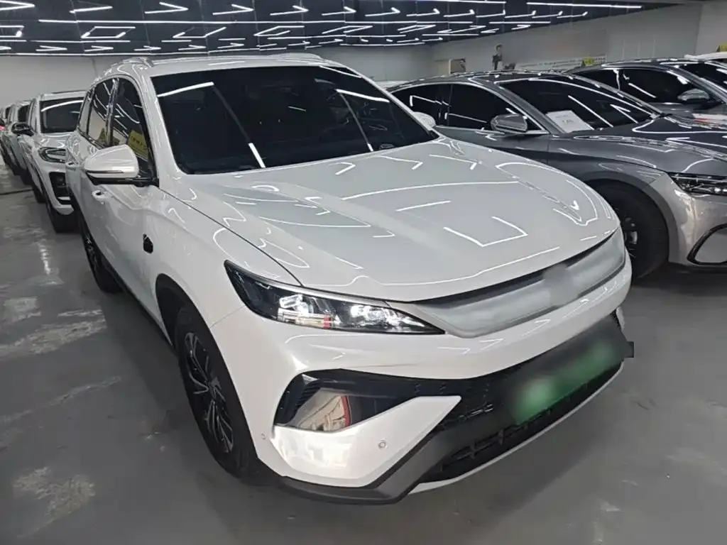 BYD Pro New Energy — фото 7