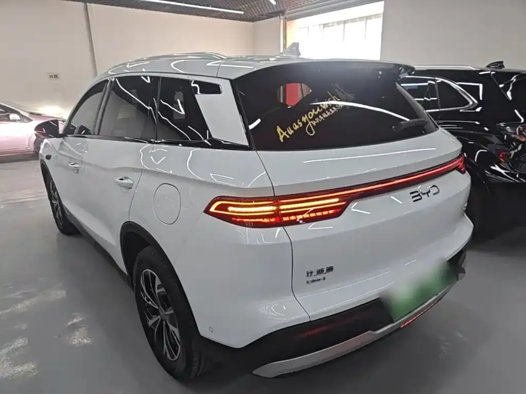 BYD Pro New Energy — фото 3