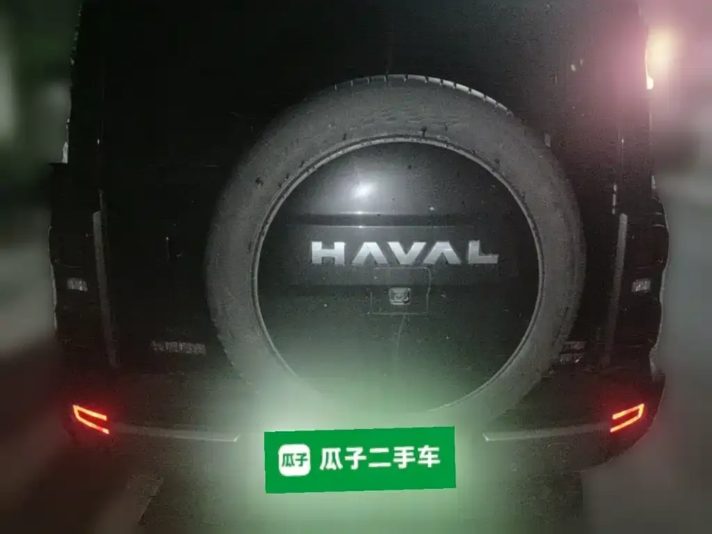 Haval Menglong New Energy — фото 8