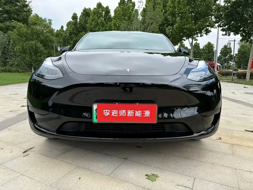 Tesla Model Y — фото 10