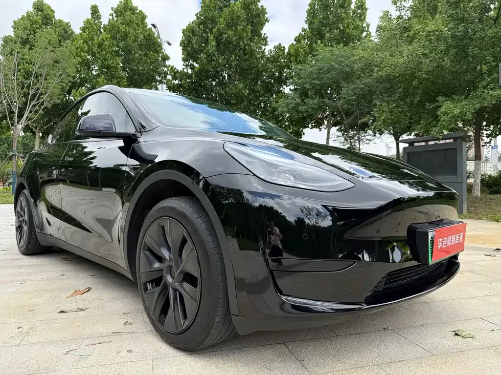 Tesla Model Y — фото 9