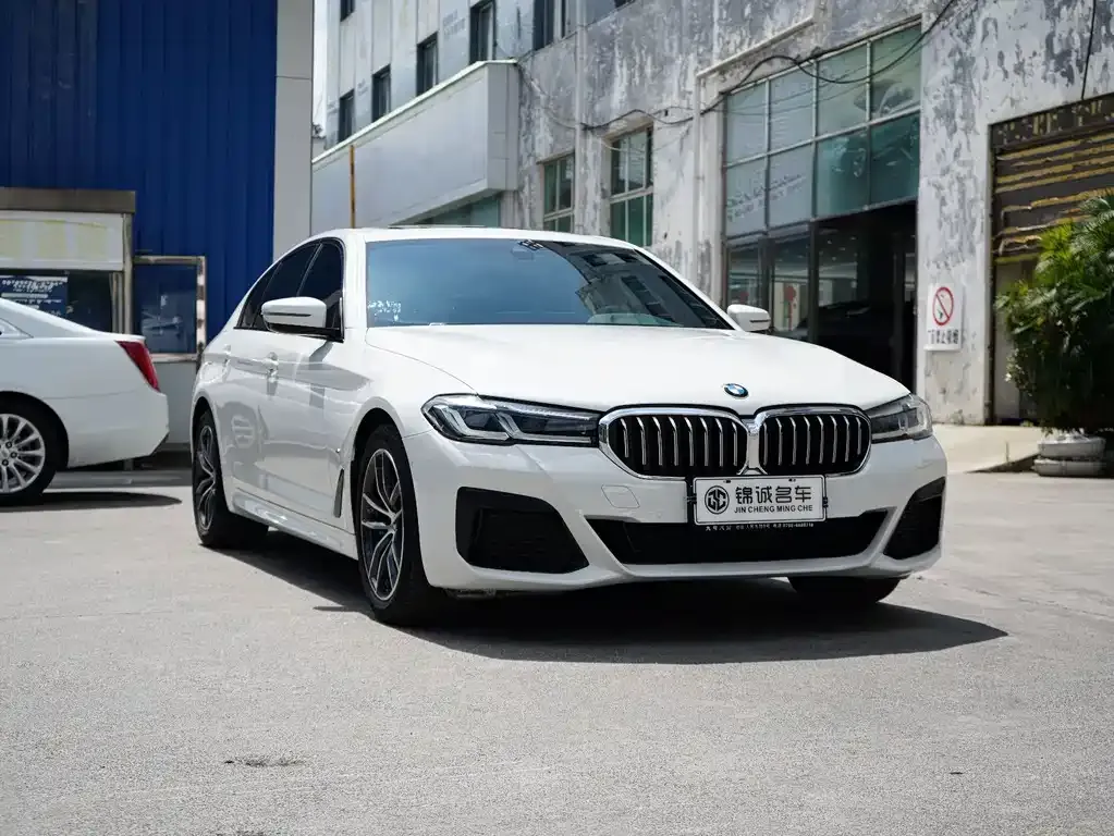 BMW 5 Series (Import) — фото 8