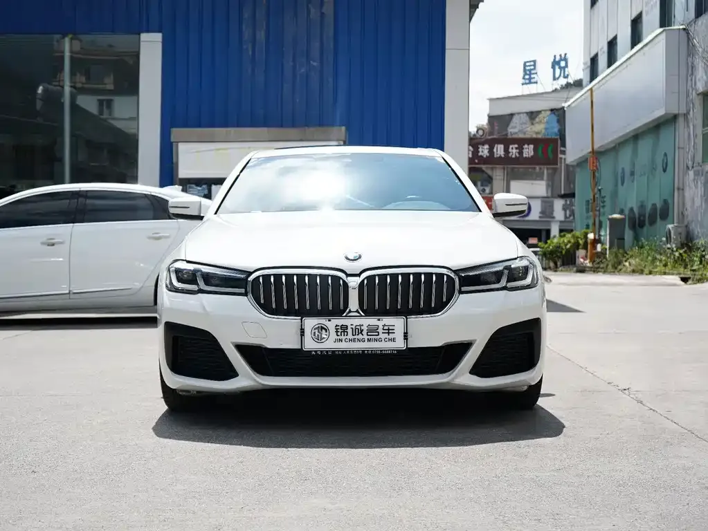 BMW 5 Series (Import) — фото 10