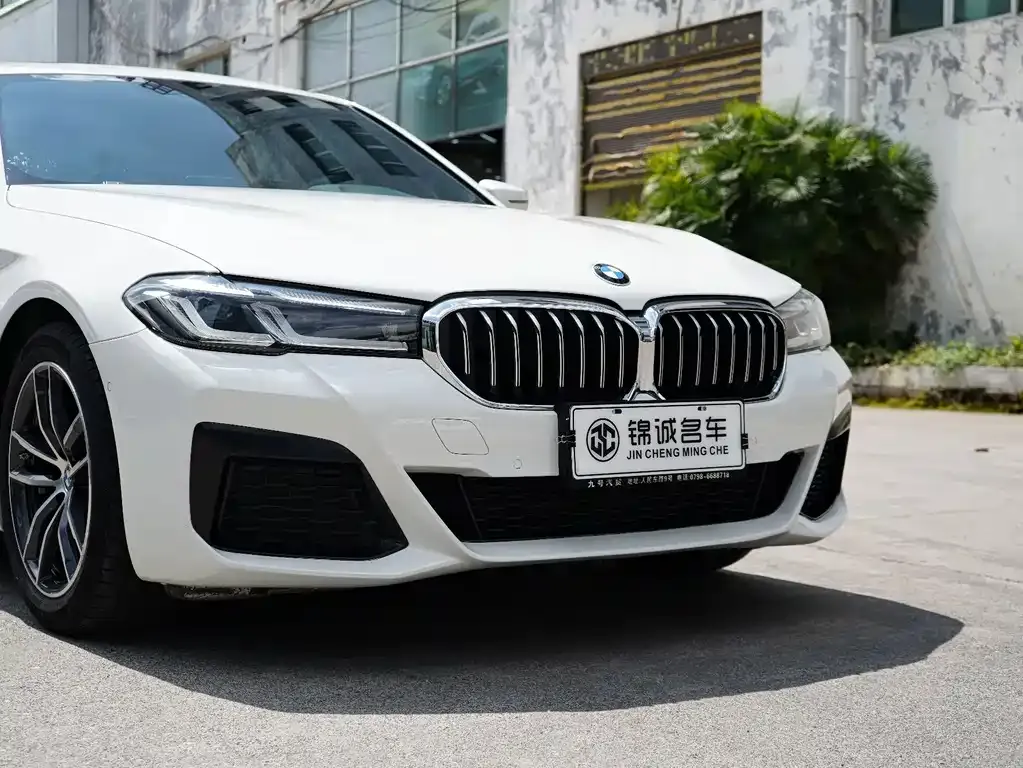 BMW 5 Series (Import) — фото 6