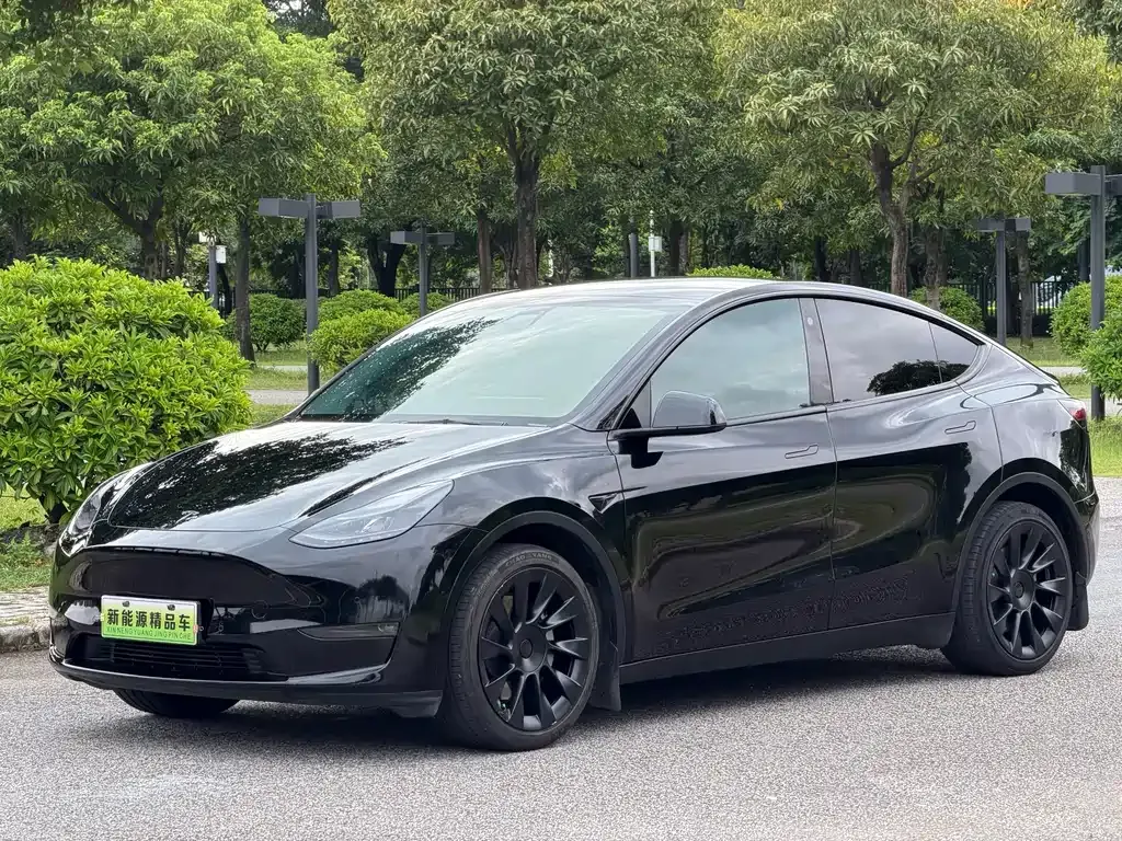 Tesla Model Y — фото 1