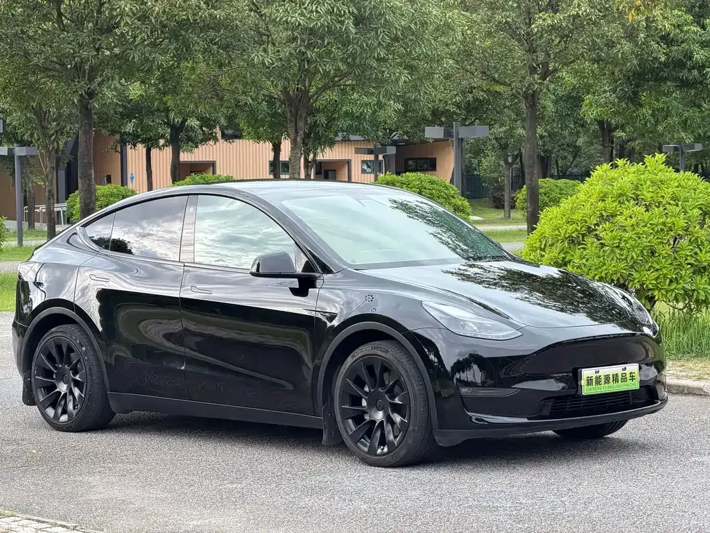 Tesla Model Y — фото 9
