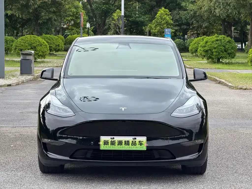 Tesla Model Y — фото 8