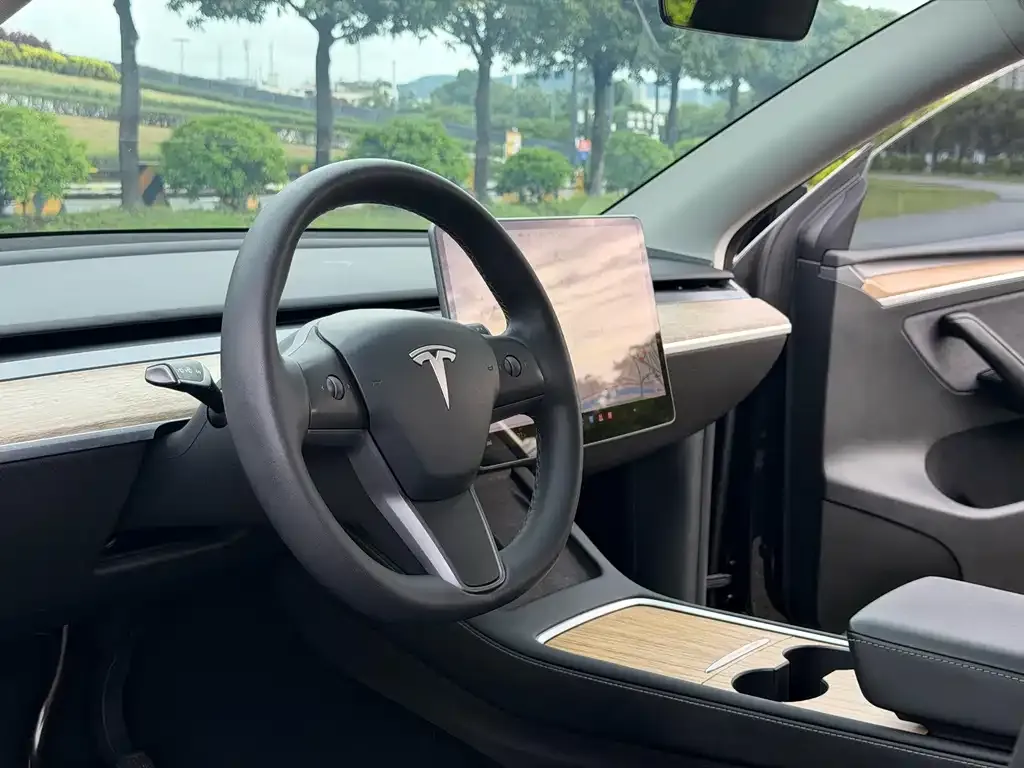 Tesla Model Y — фото 6