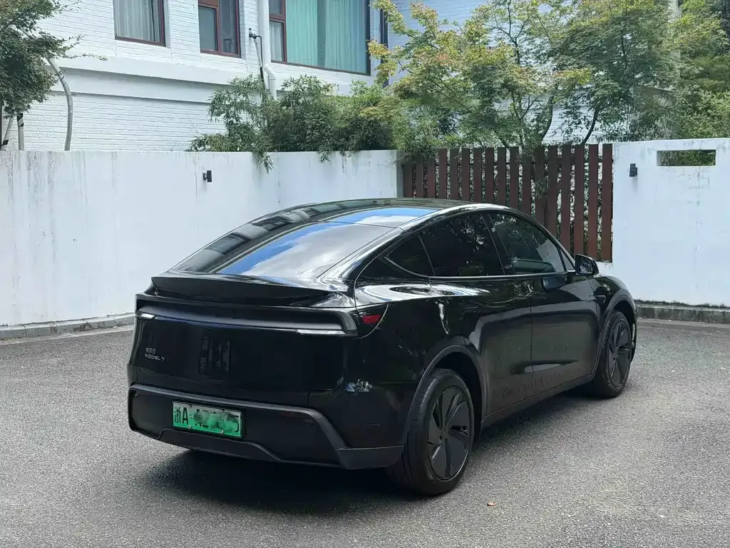 Tesla Model Y — фото 10