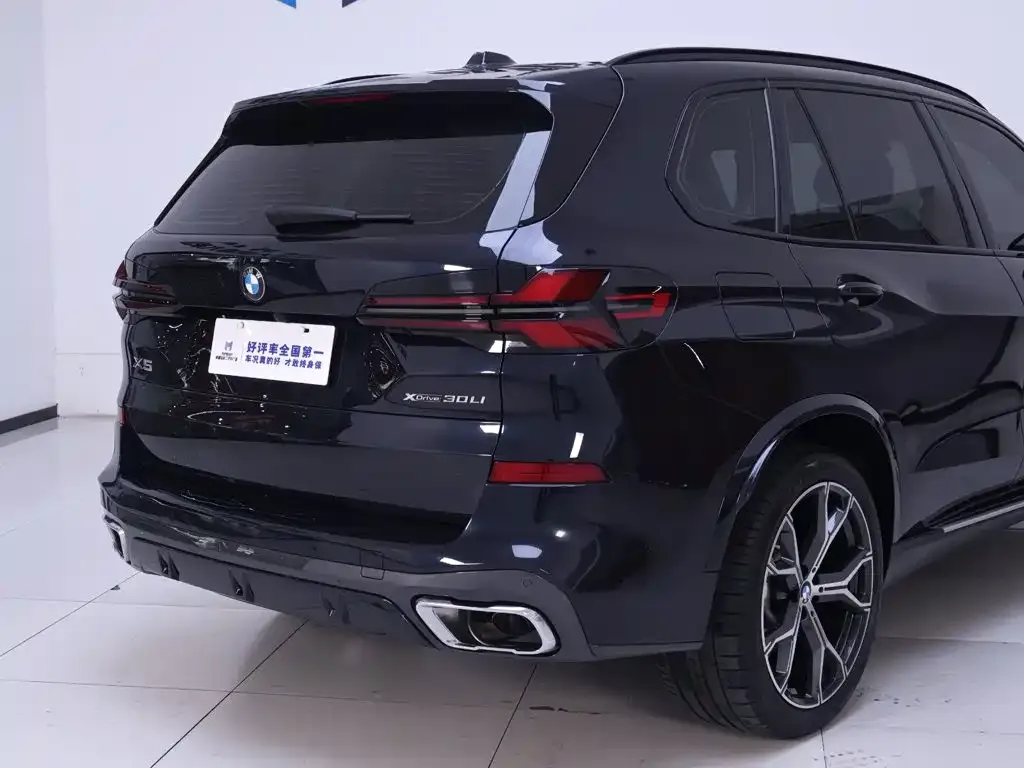 BMW X5 — фото 10