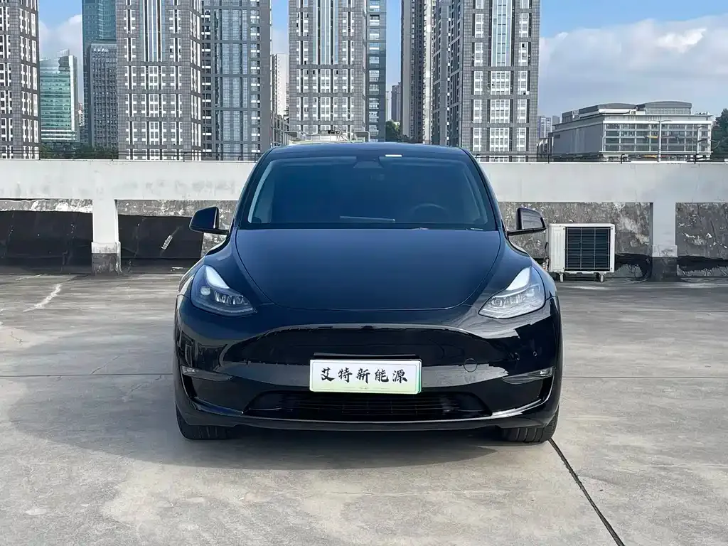 Tesla Model Y — фото 9